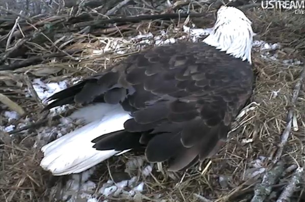 ScreenHunter_10 Feb. 21 10.53.jpg